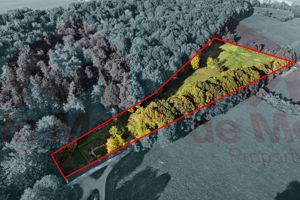 Photo 34- click for photo gallery